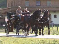 Kutschenfahrten, Sommer wie Winter mit sehr schönen Pferdegespanne